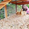 alyssaj17465